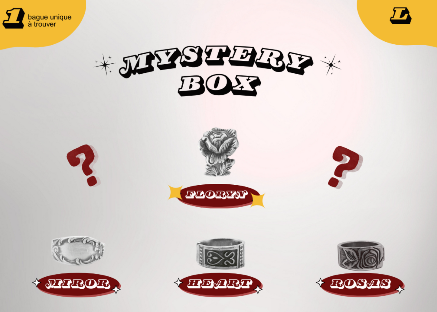 Mystery Box (L)